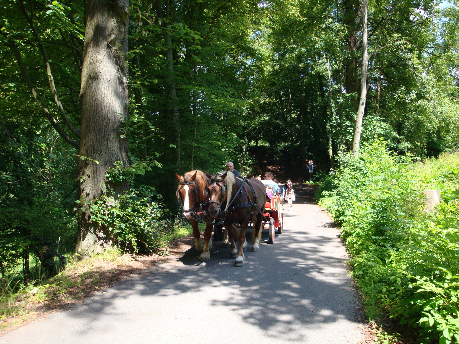 Drachenburg